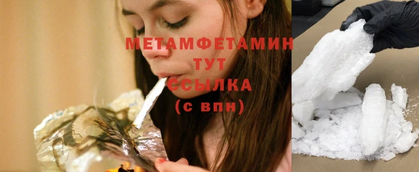 прущие грибы Каменка
