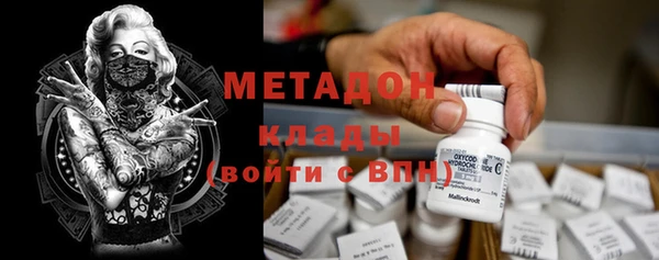 прущие грибы Каменка