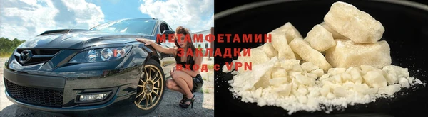 прущие грибы Каменка