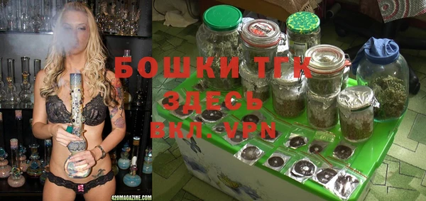 скорость Каменногорск
