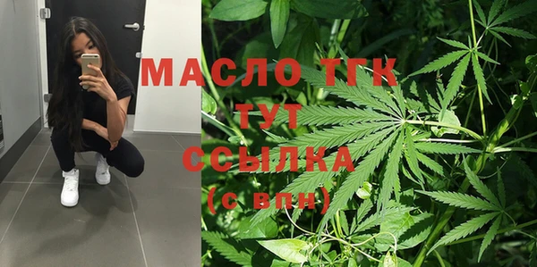 прущие грибы Каменка