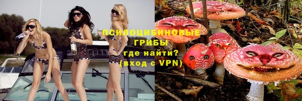 ешки Инта