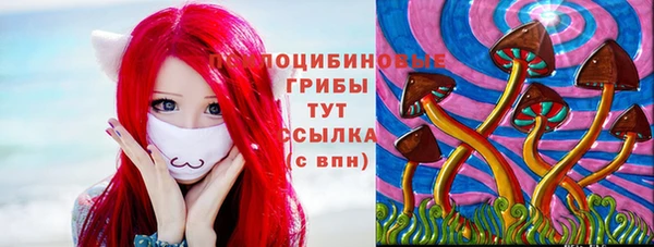 прущие грибы Каменка