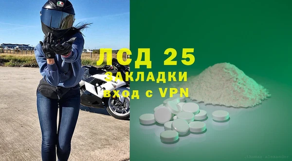 прущие грибы Каменка
