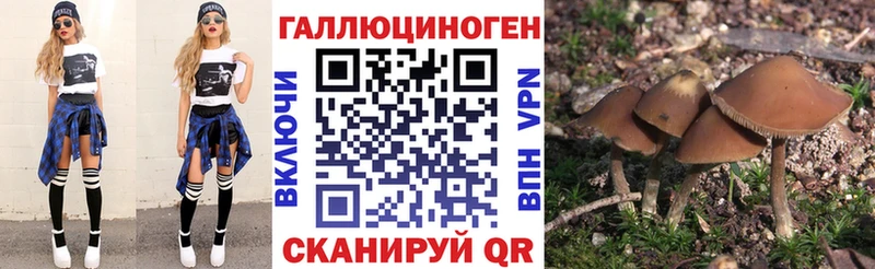 Купить закладки  Богданович  Псилоцибиновые грибы Magic Shrooms 